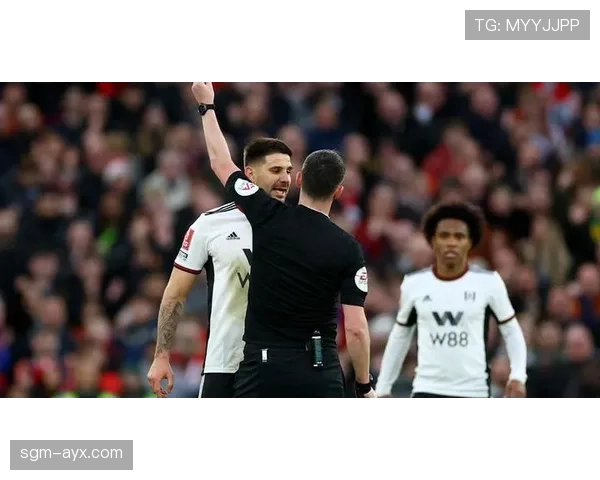 米特罗维奇领衔富勒姆荣耀回归英超