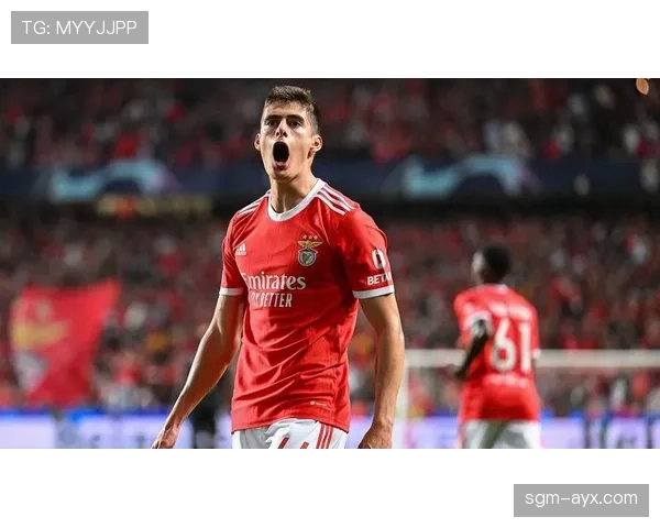 德里赫特中卫风格解析